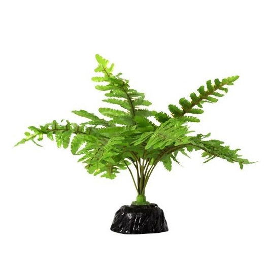 REPTIZOO Boston Fern #TP015 - www.Shopthatapp.com