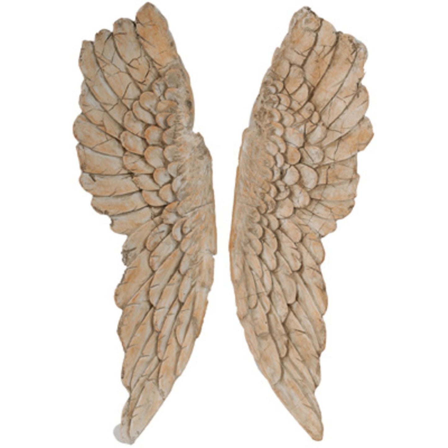 S2 Wings - www.Shopthatapp.com