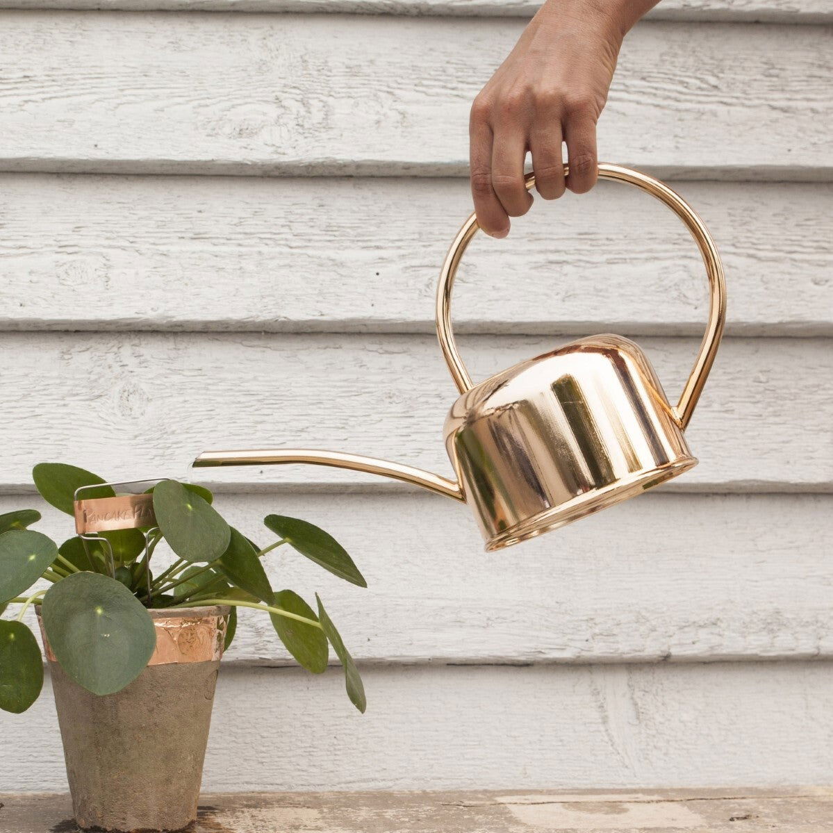 Watering Can Gold - www.Shopthatapp.com